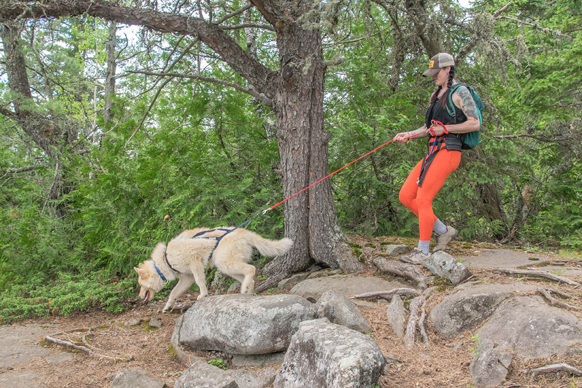 Canicross hiking trip