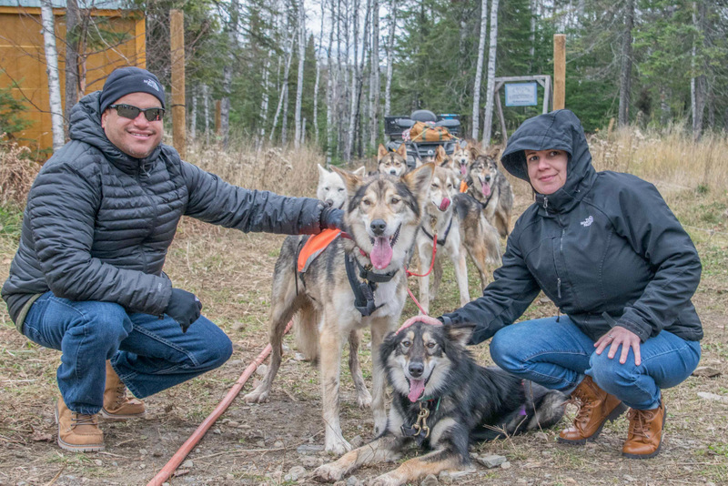 Wheeled Dog Sled Tours | Points Unknown